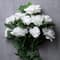 Gerbe de roses blanches d’Ashland